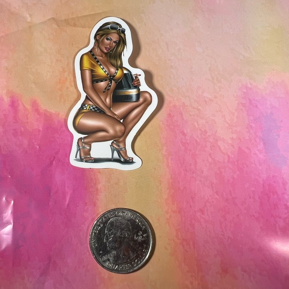 FLAG Sexy Pinup Gorgeous Sticker Retro Vintage BomberGirl Racing Flag Girl - Picture 3 of 3
